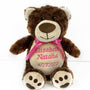 Personalized Brown Teddy Bear, Birth Stats, Bear Stuffed Animal, Newborn Gift, 1st Birthday Gift, Keepsake Bear, Christening Gift for Babies