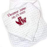Minky Baby Blanket, Corporate Gift, Logo Blanket, Employee New Baby, Business Gift
