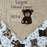 Minky Birth Stats Blanket, Brown and Tan Teddy Bear Minky, Teddy Applique, Plush Blanket, Newborn Baby Gift, Personalized Keepsake Gift